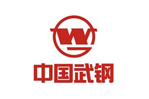 【案例】云顶集团耐磨陶瓷衬板在武汉钢铁烧结厂的实验结论报告